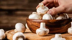 Eine Woche lang frisch: Eine Bäuerin verrät den Trick, der Pilze haltbar macht